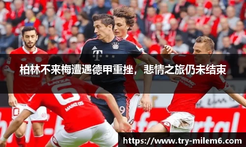 米乐体育
