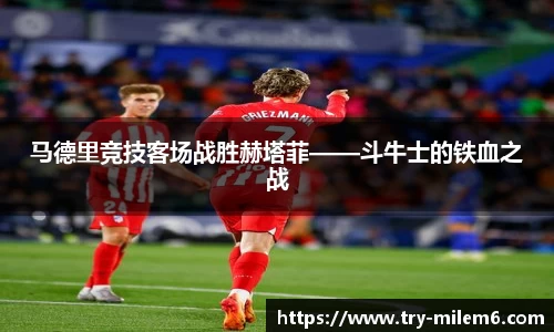 米乐体育官方网站