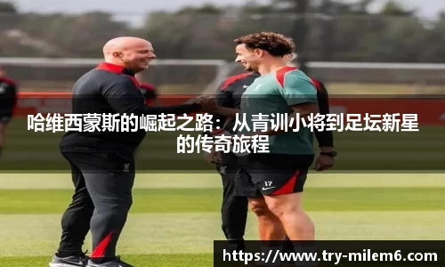 米乐体育官网