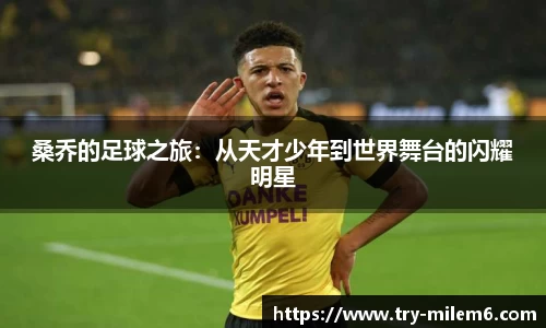 米乐体育