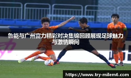 米乐体育