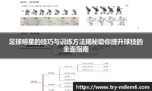 米乐体育官网