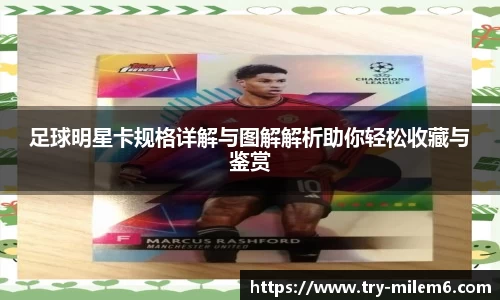 米乐体育